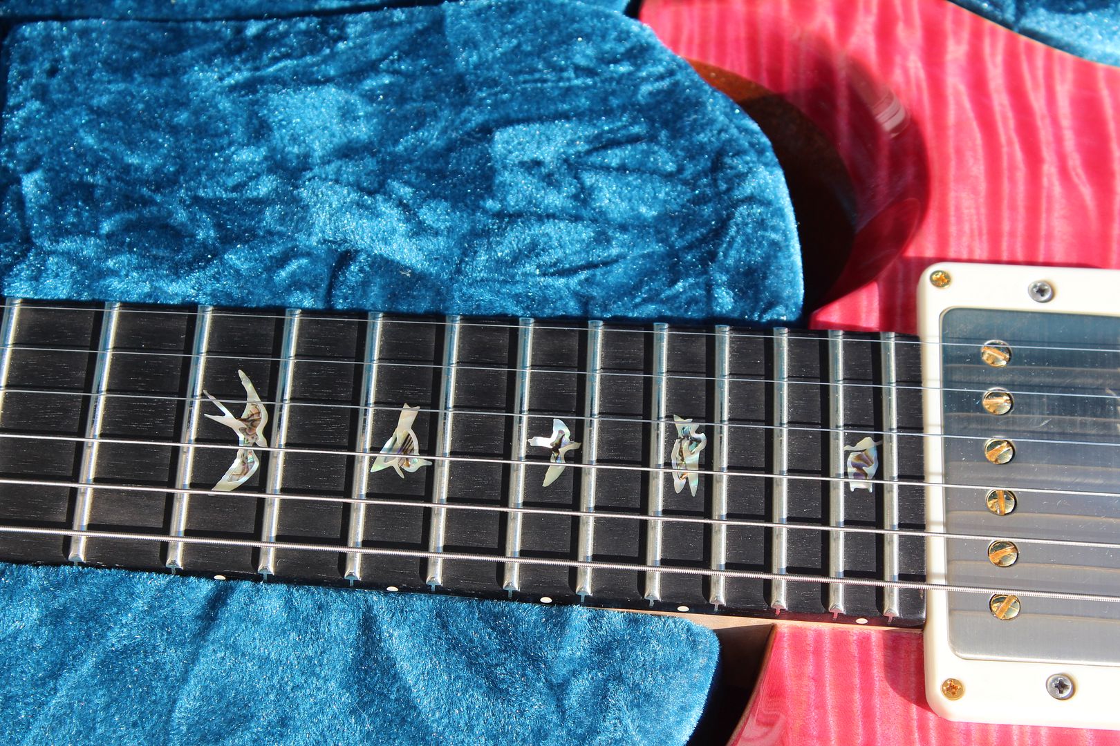 Avert your eyes folks, this pink is BRIGHT!!! (PRS CU24 Avert your eyes folks, this pink is BRIGHT!!! (PRS CU24